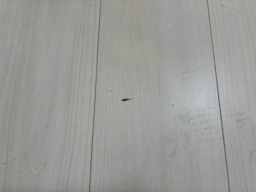 愛知県のフローリング補修